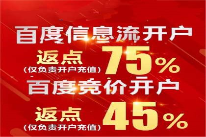 百度SEO推广公司案例分享：实战经验谈
